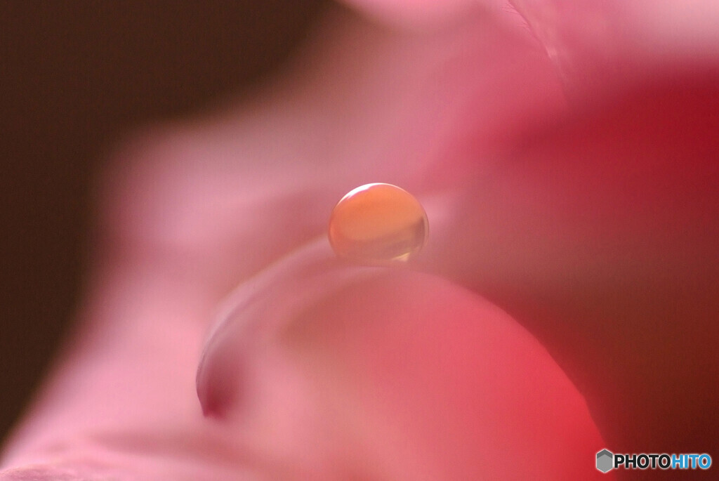 琥珀の彩・雫