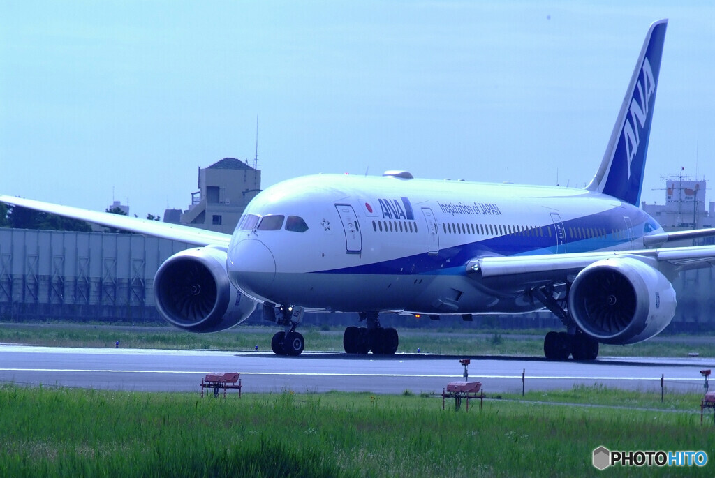 いつか君に追い風が✈ANA