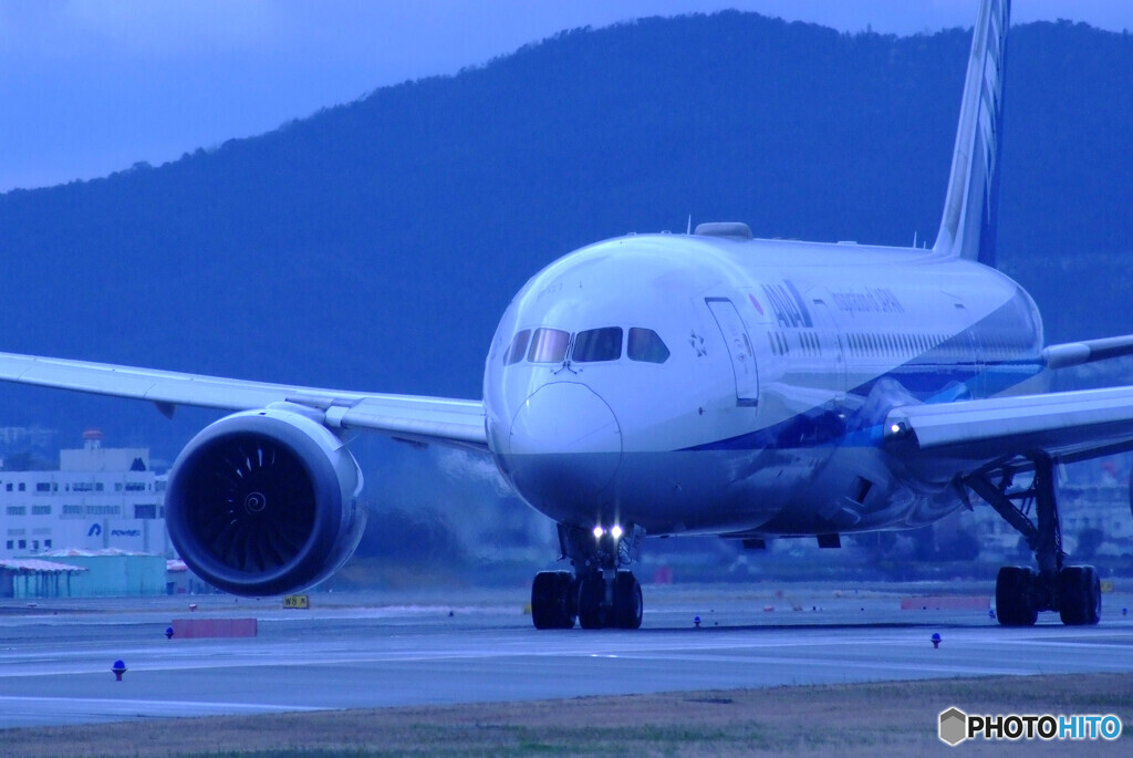 雨上がりの午後✈Dreamliner