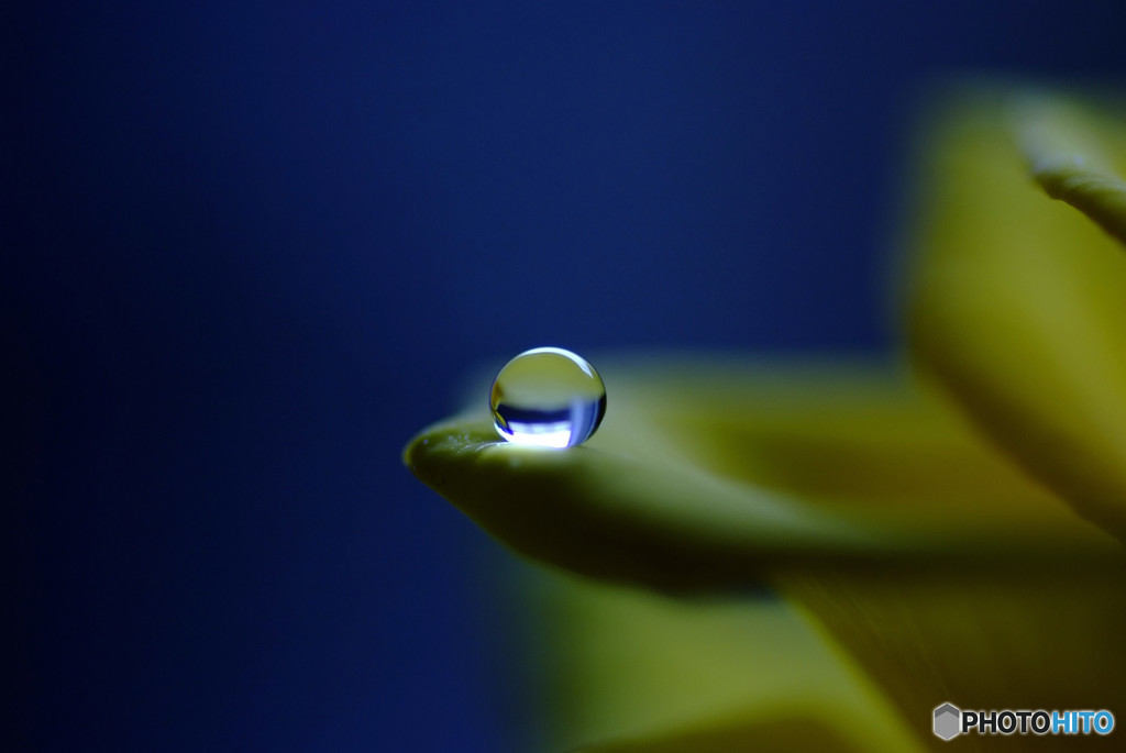 愛しい地球・雫