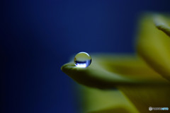 愛しい地球・雫