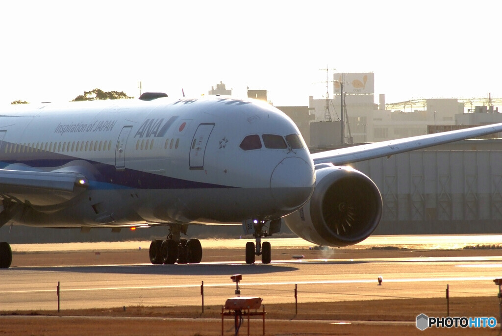 そうだ会いに行こう✈Boeing787-8