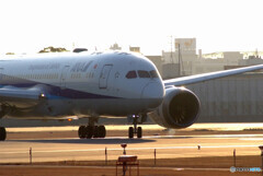 そうだ会いに行こう✈Boeing787-8