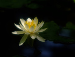 水鏡・睡
