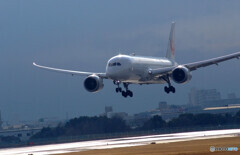 Shining Runway✈Boeing 787-8