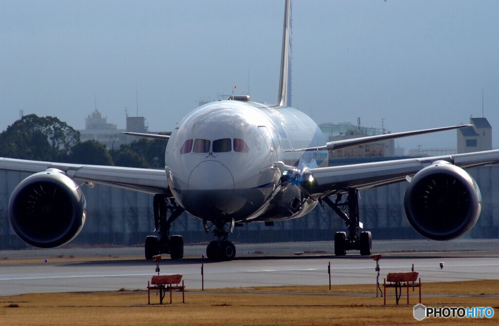 February TravelerⅥ✈787-8 Dreamliner