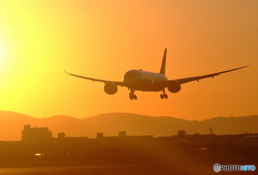 January shine✈787