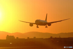 January shine✈787