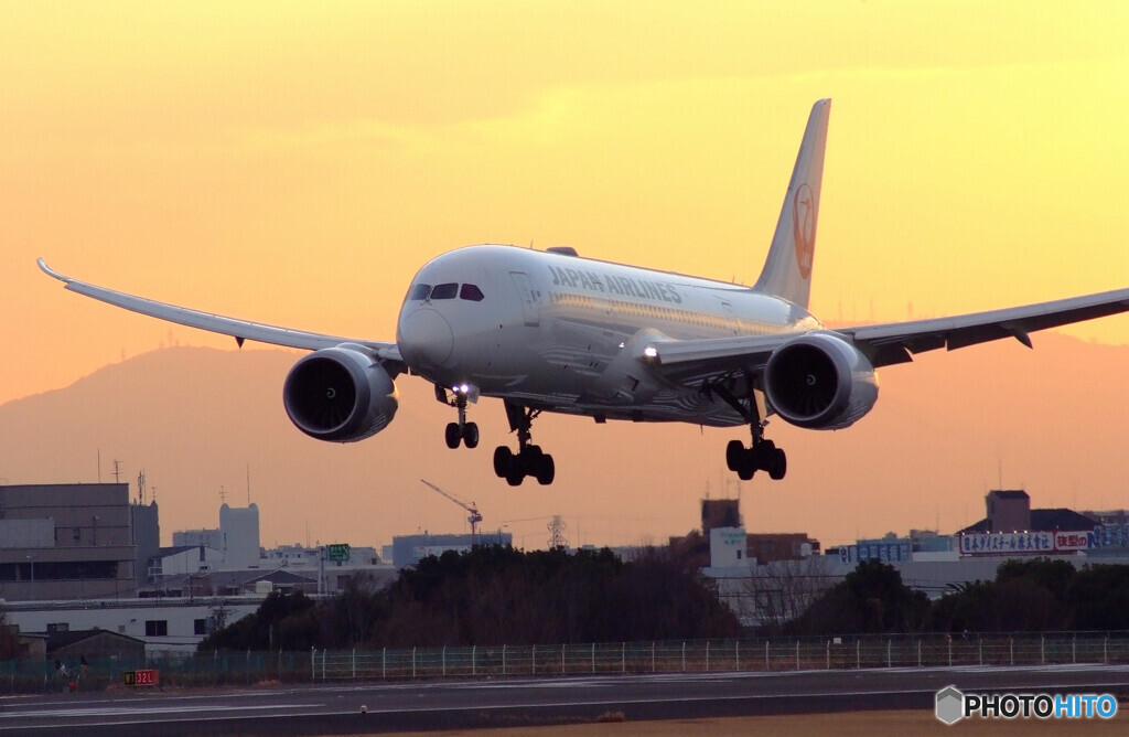 永遠の輝き2022✈Boeing 787