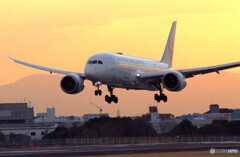 永遠の輝き2022✈Boeing 787