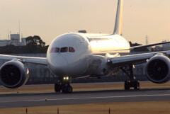 静寂の朝✈Boeing787-8