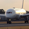 静寂の朝✈Boeing787-8