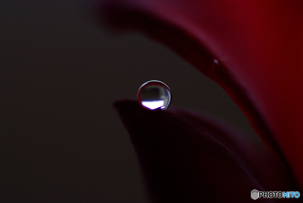 永遠のゼロ✾雫