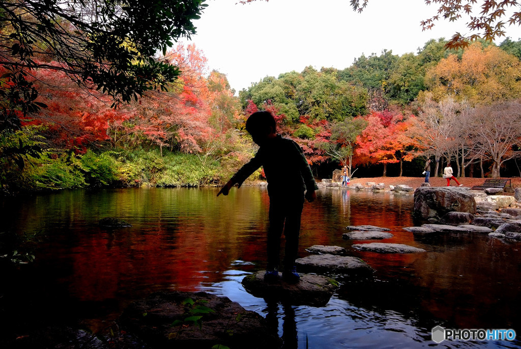 僕の紅葉見つけたよ！