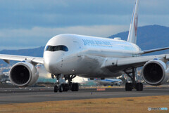 俺の旅路Ⅱ✈JA03XJ