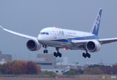 俺の朝✈Weekend Traveler