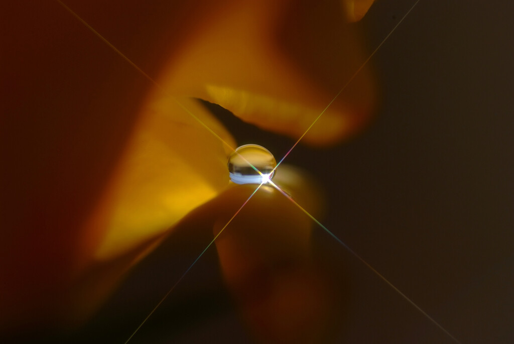 心静かに✿嘉月の十字架