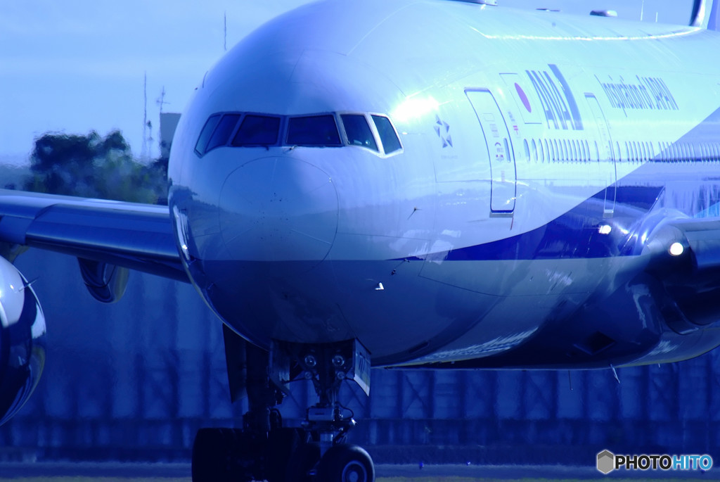 Morning BlueⅤ・浪漫