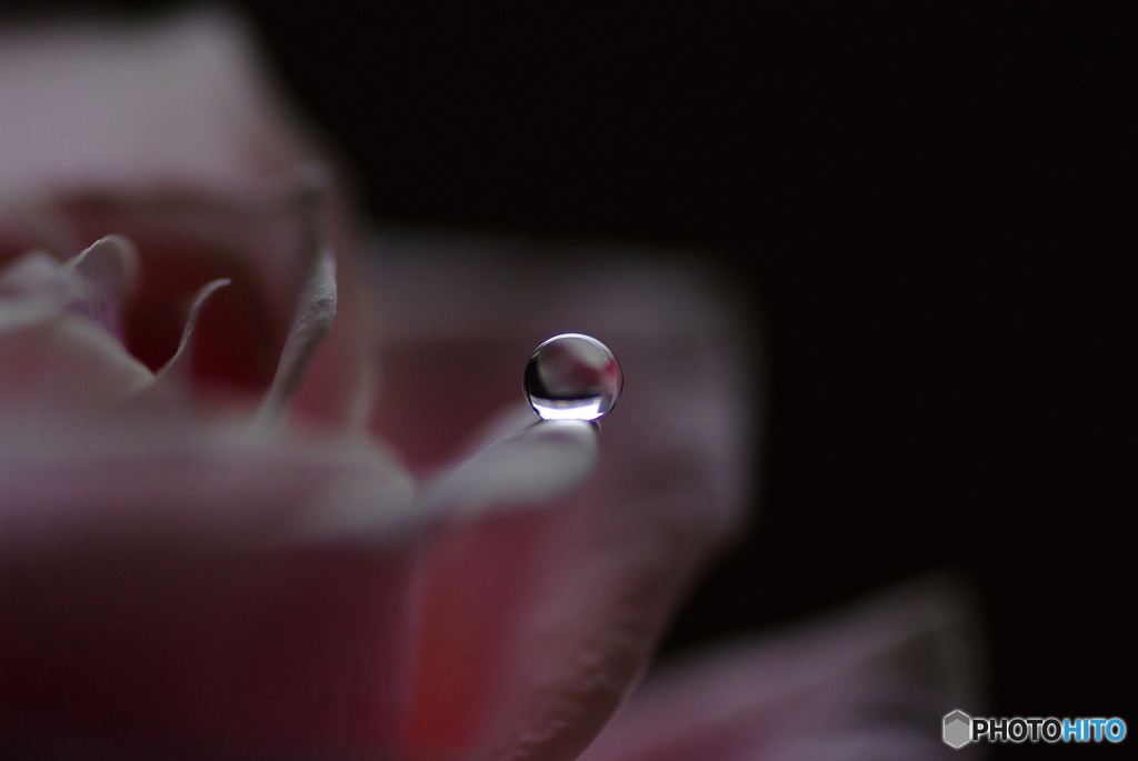 愛しき惑星・雫