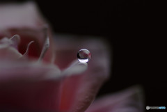 愛しき惑星・雫