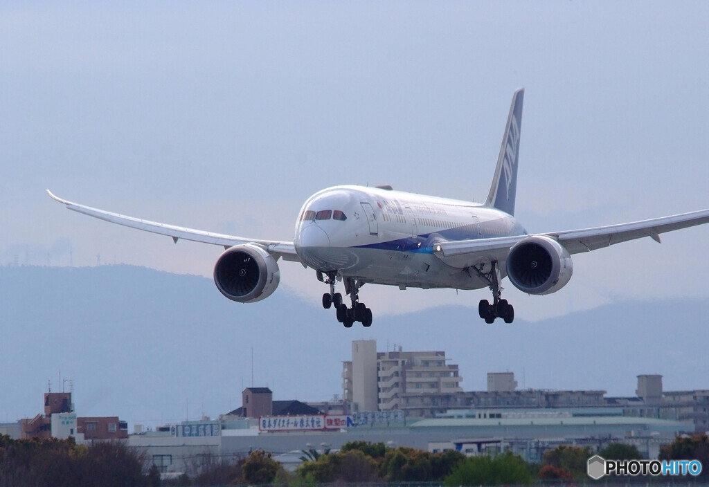 Energy✈翼に込めて