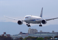 Energy✈翼に込めて