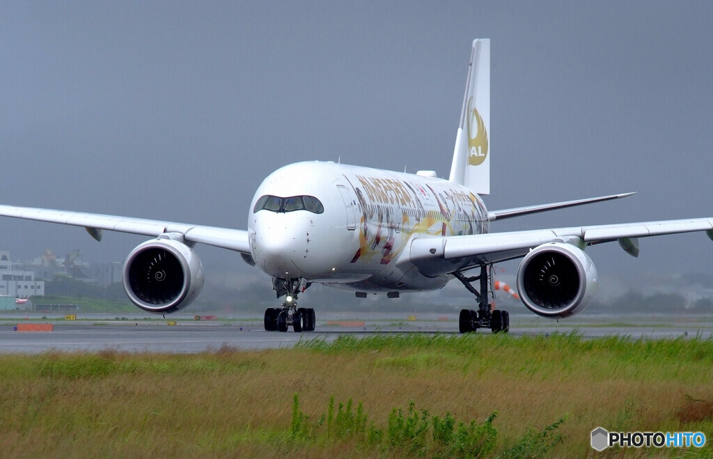 Endless SummerⅣ✈JA06XJ