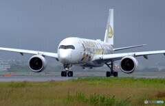 Endless SummerⅣ✈JA06XJ