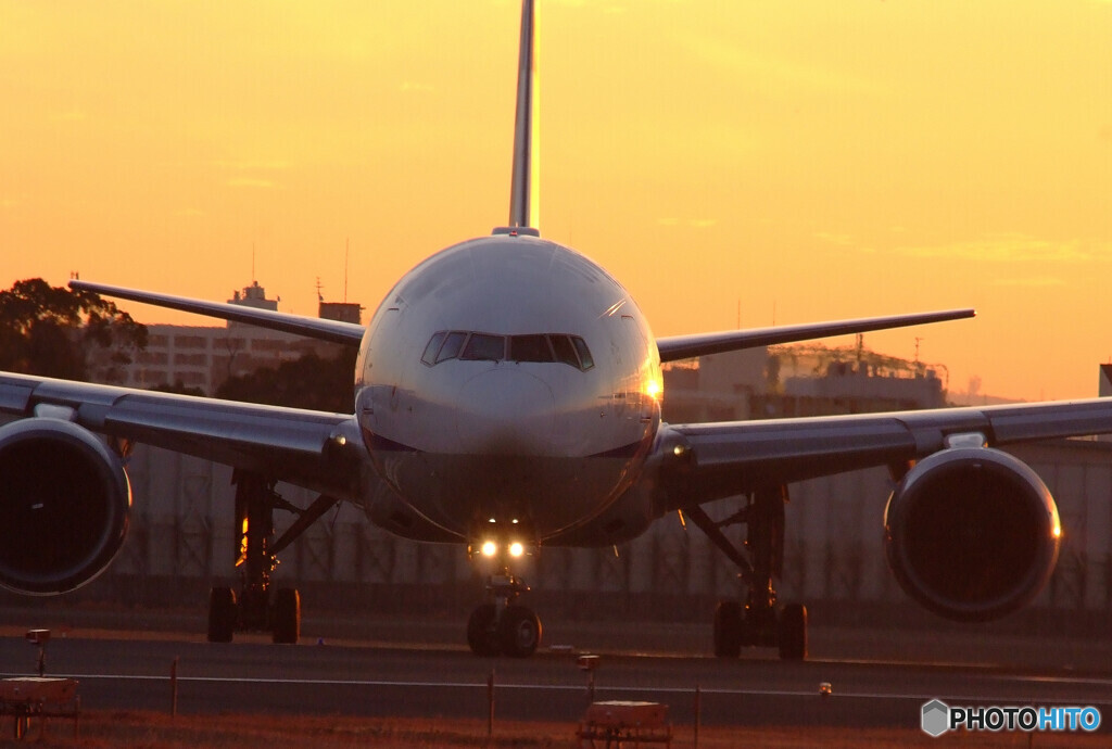 Good Morning Bird・777