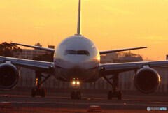 Good Morning Bird・777