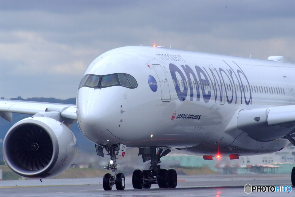 Weekend Paradise✈JA15XJ