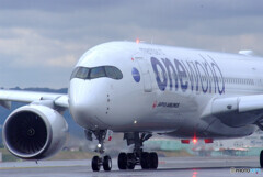 Weekend Paradise✈JA15XJ