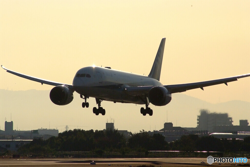 November Morning✈Boeing 787-8