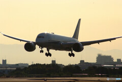 November Morning✈Boeing 787-8