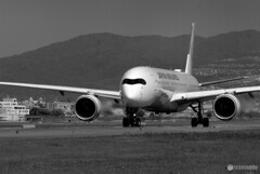 5月の空へ✈Airbus A350-900