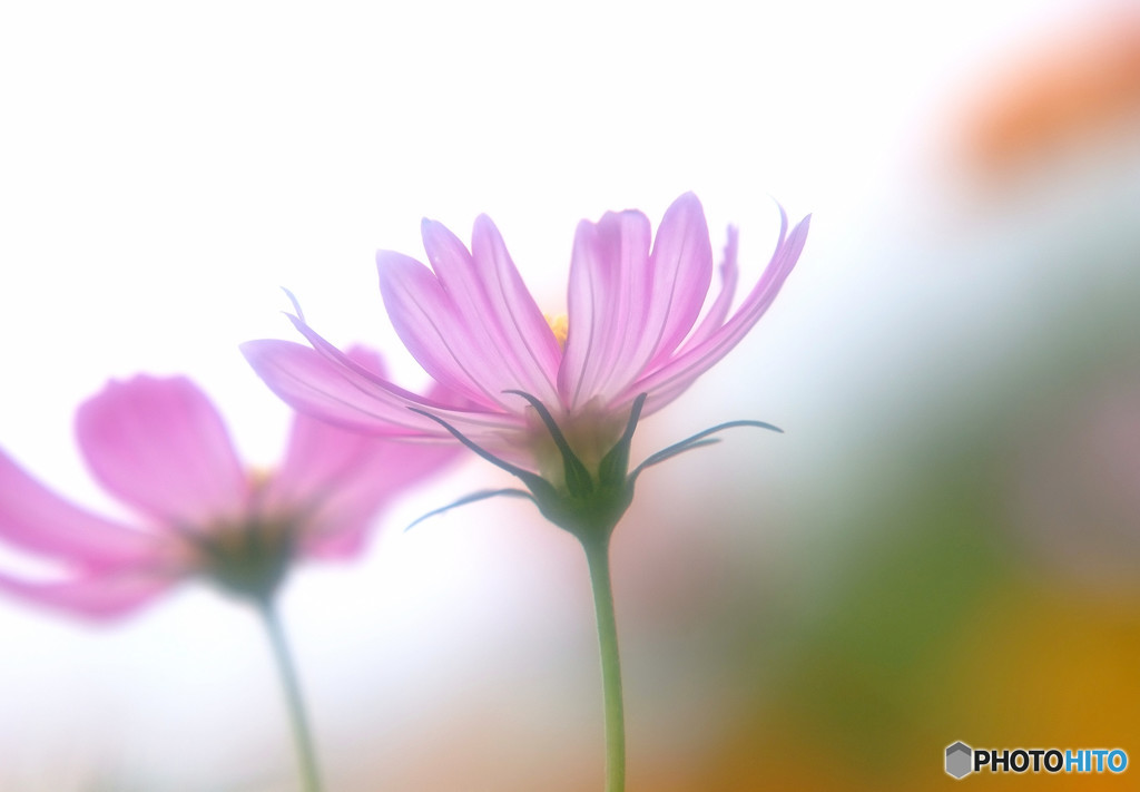 My Treasure・約束