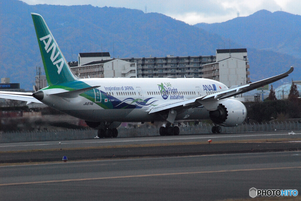 ITMの空へ✈ANA Green Jet