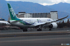 ITMの空へ✈ANA Green Jet