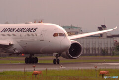 Endless Summer★翼