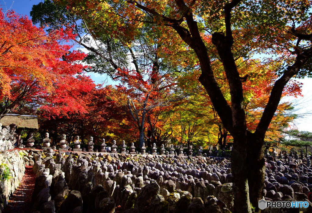 鳥居本・念仏寺にて