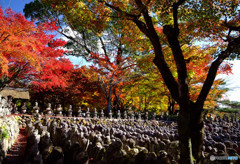 鳥居本・念仏寺にて