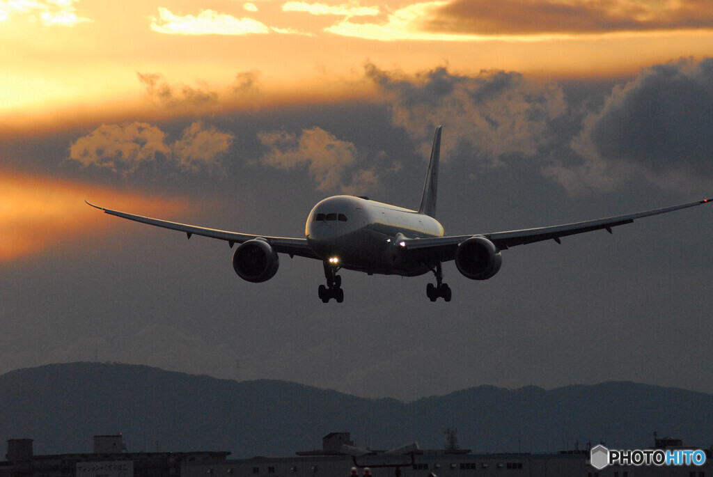 Beautiful MemoriesⅢ✈Boeing 787-8