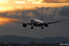 Beautiful MemoriesⅢ✈Boeing 787-8