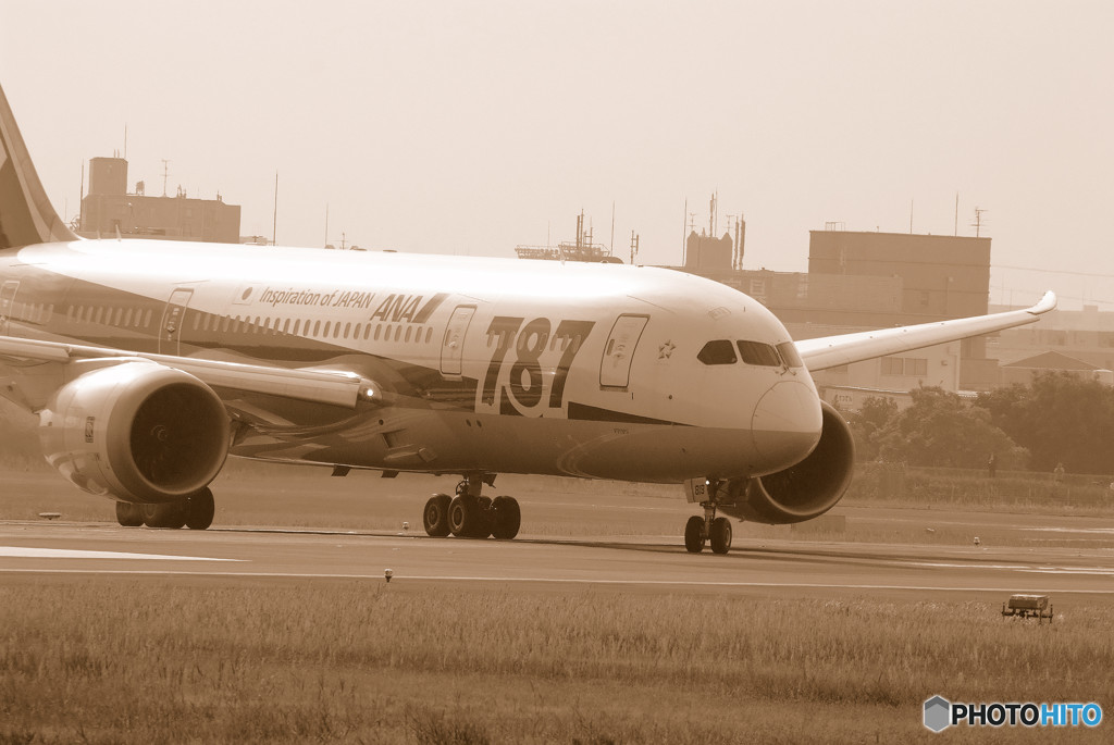朝のBoeing 787-8 Dreamliner