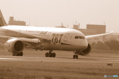 朝のBoeing 787-8 Dreamliner