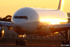 The Main Target・777