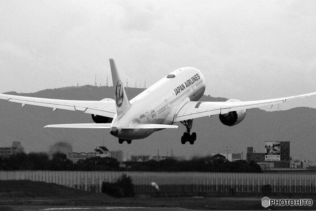 B/Wの世界✈Boeing787-8