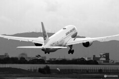 B/Wの世界✈Boeing787-8