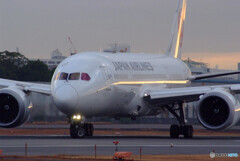 December morningⅩ✈朝焼けの旅路へ