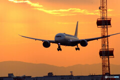 Golden Time ✈Dreamliner